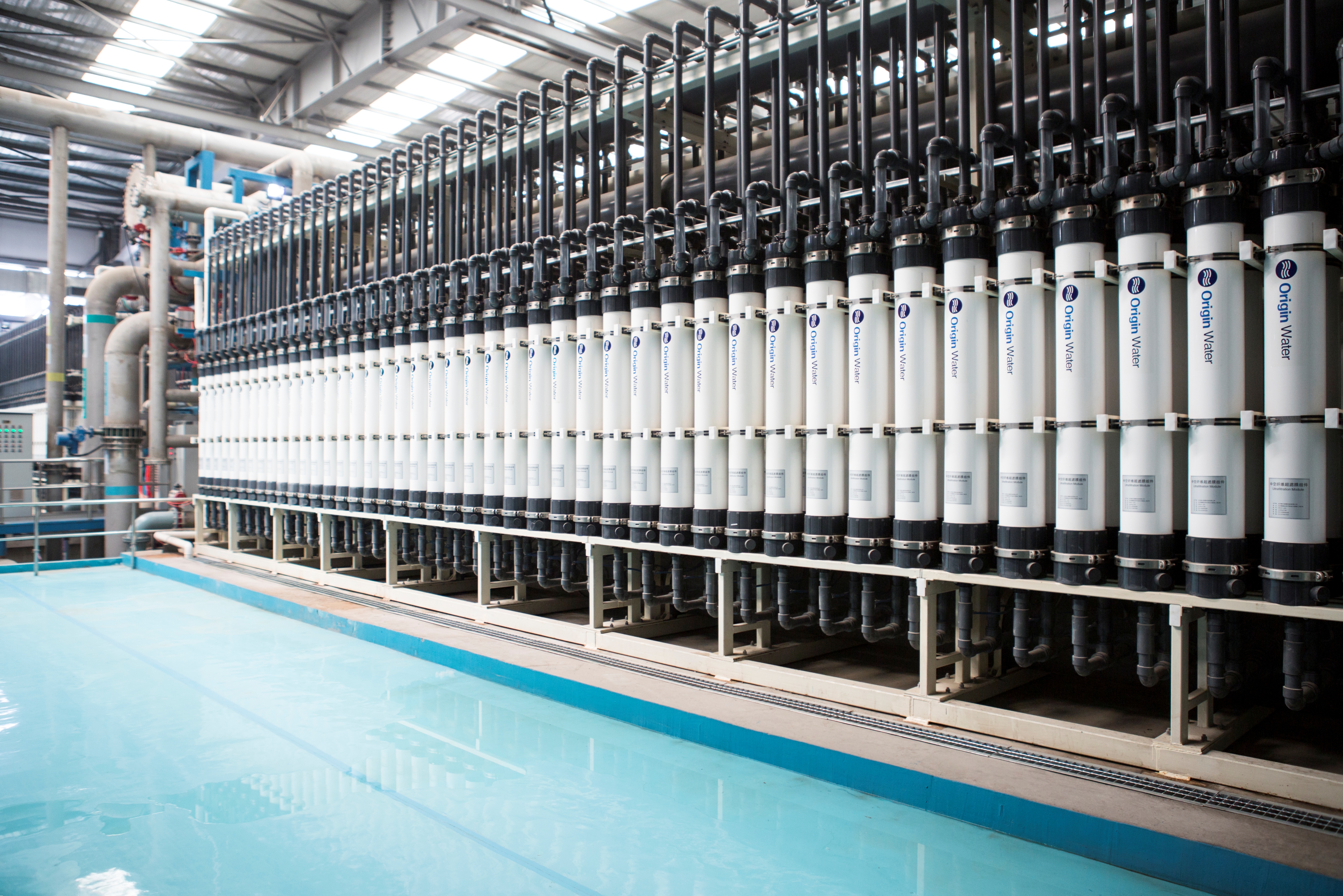 金年会市场经营加快高质量发展步伐